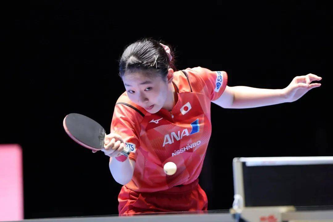 这也证实了 这也证实了